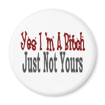 Yes I Am A Bitch 6 magnets by camobabygifts Yes I Am A Bitch 6 magnets
