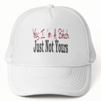Yes I Am A Bitch 9 hats