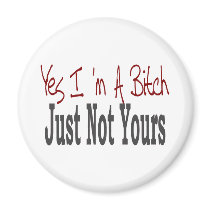 Yes I Am A Bitch 9 magnets by camobabygifts Yes I Am A Bitch 9 magnets