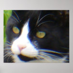Yes, I am Pretty Oil Painting Posters