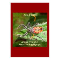 Yes I Bite Assassin Bug Business Card Templates