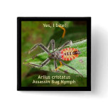 Yes I Bite Assassin Bug Pins