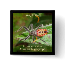 Yes I Bite Assassin Bug Pins