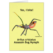 Yes I Bite Assassin Bug Card