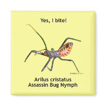 Yes I Bite Assassin Bug Fridge Magnets