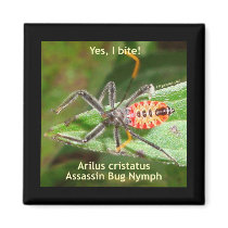 Yes I Bite Assassin Bug Magnets