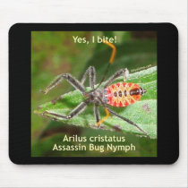 Yes I Bite Assassin Bug Mousepad
