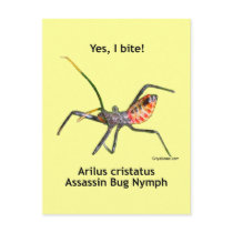 Yes I Bite Assassin Bug Post Cards