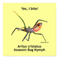 Yes I Bite Assassin Bug Posters