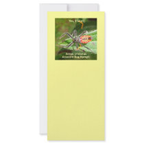 Yes I Bite Assassin Bug Rack Cards