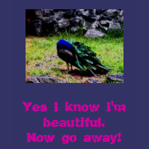 Yes I know I'm beautiful.  Now go away! t-shirts