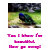 funny, birds, peacock, animals, nature, humor,