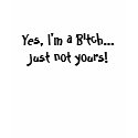 Yes, I'm a Bitch...  Just not yours! t-shirts