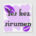 Yes kez sirumen - Armenian - I Love You