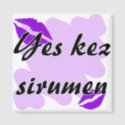 Yes kez sirumen - Armenian - I Love You