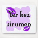 Yes kez sirumen - Armenian - I Love You