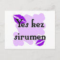 Yes kez sirumen - Armenian - I Love You