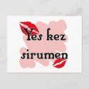 Yes kez sirumen - Armenian - I Love You