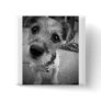 Yes Master, I'm All Ears Button