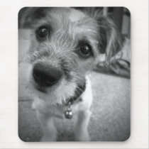 Yes Master, I'm All Ears mousepads by Heartworks Yes Master, I'm All Ears mousepads