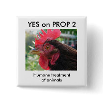 Yes on Prop 2 - Button by YesOnProp2 Yes on Prop 2 - Button
