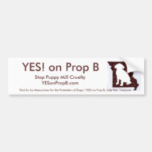 YES! on Prop B Bumper Sticker