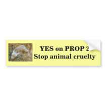 Yes on Proposition 2 - Bumper Sticker bumper stickers by YesOnProp2 Yes on Proposition 2 - Bumper Sticker bumper stickers