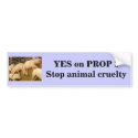 Yes on Proposition 2 - Bumper Sticker bumper stickers by YesOnProp2 Yes on Proposition 2 - Bumper Sticker bumper stickers