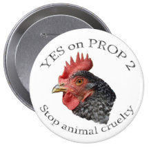 Yes on Proposition 2 - Button
