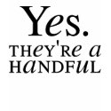 Yes. They're a Handful t-shirts