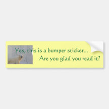 Yes, this is a bumper sticke... bumper stickers
