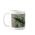 Yes you can. mugs