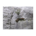 Yes you can postcards by Abiudzazzle Yes you can postcards