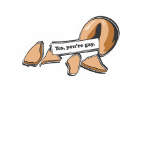 YES, YOU'RE GAY t-shirts