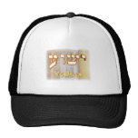 Yeshua in Hebrew Hat