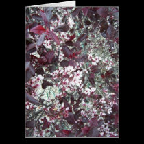 YESU CHRIST,...THE GOOD SAMARITAN cards by georgemeyer YESU CHRIST,...THE GOOD SAMARITAN cards