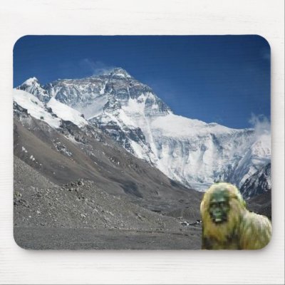 Yeti Mousepad by cooldudeproducts