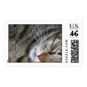 Yeti postage by slickstudios Yeti postage