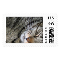 Yeti postage