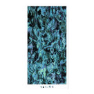  - : Sizes 