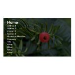 Yew tree fruit (taxus brevifolia) business card