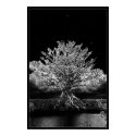 Yggdrasil posters by CNovack Yggdrasil posters