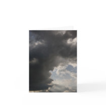 YH6L2442 cards