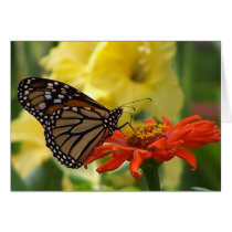 Yielding to Temptations, 081606a 087, 081606 13... Cards