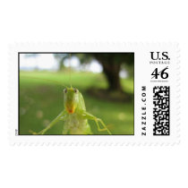 Yikes postage