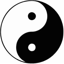 Yin and Yang photo sculptures