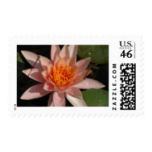 Yin and Yang Stamps