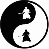 Yin Yang Aikido photo sculptures