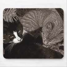 Yin Yang Cats Mouse Pads