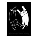 Yin & Yang Cats Poster (English) posters